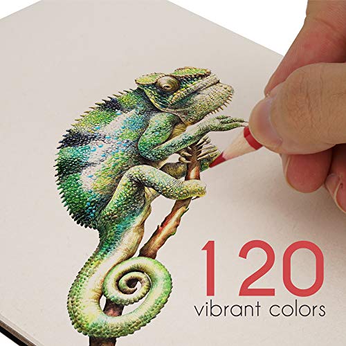 ARTEZA Watercolor Colored Pencils for Adult Coloring, Set of 120 Color –  Kyoto Store IRAQ