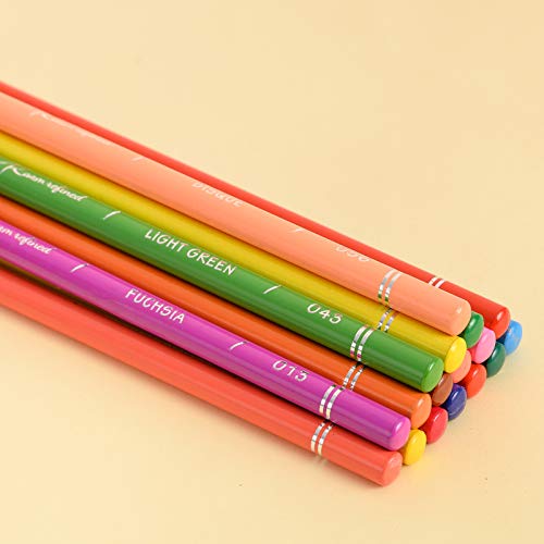 RAAM REFINED 48 Premium Colored Pencils for Adult Coloring,Artist Soft