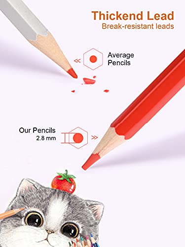 Deli 36 Pack Colored Pencils with Built-in Sharpener in Tube Cap, Vibrant Color Presharpened Pencils for School Kids Teachers, Soft Core Art Drawing for Coloring, Sketching, and Painting - Image 5
