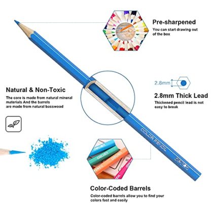 Deli 36 Pack Colored Pencils with Built-in Sharpener in Tube Cap, Vibrant Color Presharpened Pencils for School Kids Teachers, Soft Core Art Drawing for Coloring, Sketching, and Painting - Image 6