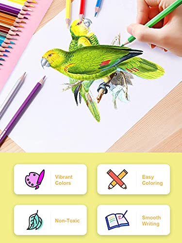 Deli 36 Pack Colored Pencils with Built-in Sharpener in Tube Cap, Vibrant Color Presharpened Pencils for School Kids Teachers, Soft Core Art Drawing for Coloring, Sketching, and Painting - Image 7