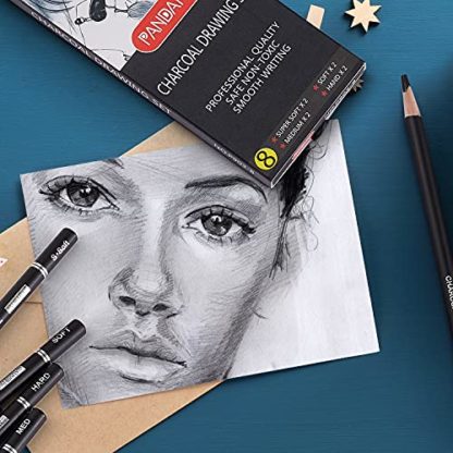 PANDAFLY Professional Charcoal Pencils Drawing Set - 8 Pieces Soft Medium and Hard Charcoal Pencils for Drawing, Sketching, Shading - Image 5