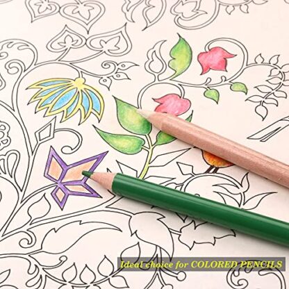 KALOUR Colorless Blender and Burnisher Pencils Set,Non-pigmented, Wax Based Pencil,perfect for Blending Softening Edges,ideal for Colored Pencils,Art Supplies for Artists Beginners(6 Pencils Total) - Image 6