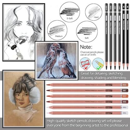 PANDAFLY Professional Colored Charcoal Pencils Drawing Set, 20 Pack Art Pencil Kit - Pastel Chalk Pencils, Black & White Charcoal Pencils, Graphite Pencils, Charcoal Sticks, P932-20 - Image 4