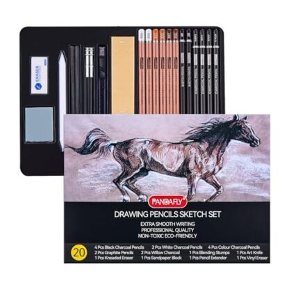 PANDAFLY Professional Colored Charcoal Pencils Drawing Set, 20 Pack Art Pencil Kit - Pastel Chalk Pencils, Black & White Charcoal Pencils, Graphite Pencils, Charcoal Sticks, P932-20
