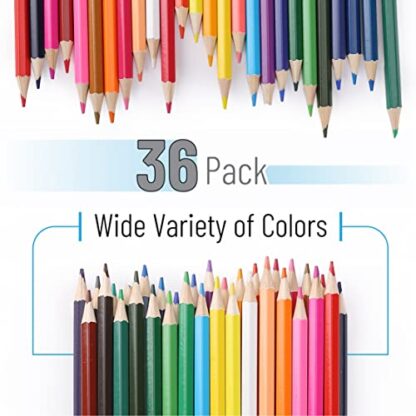 Mr. Pen- Colored Pencils, 36 Pack, Color Pencil Set, Color Pencils, Map Pencils, Colored Pencils for Adults, Colored Pencils for Kids, Colored Pencils for Adult Coloring - Image 3