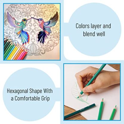 Mr. Pen- Colored Pencils, 36 Pack, Color Pencil Set, Color Pencils, Map Pencils, Colored Pencils for Adults, Colored Pencils for Kids, Colored Pencils for Adult Coloring - Image 5