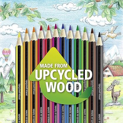 STAEDTLER Colored Pencils, Premium Quality Extruded Coloring Pencils with Break-Resistant Lead, Box of 24 - Image 6